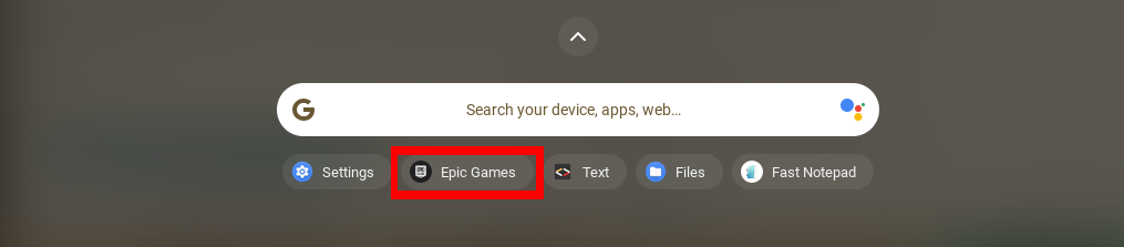 Launch Epic Games application