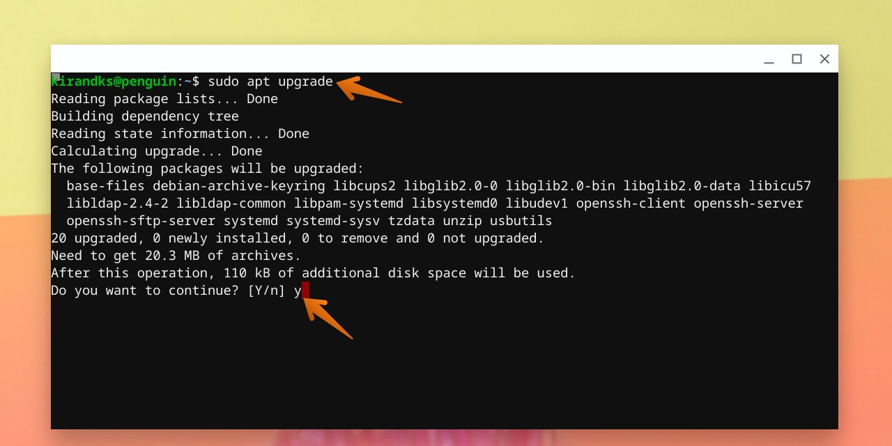 Upgrade Linux Apps