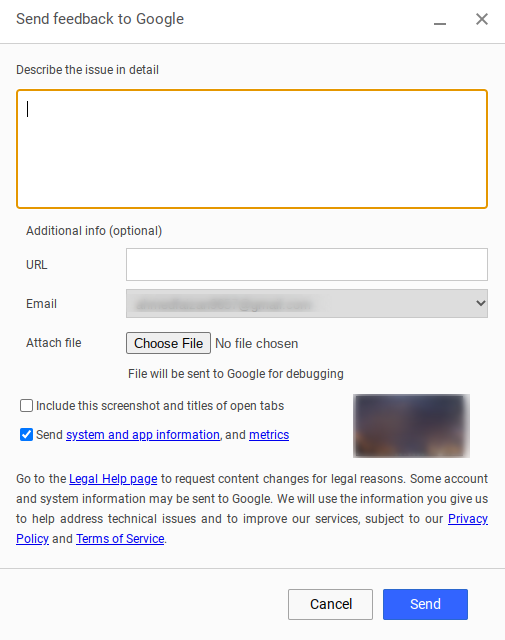 Reporting the issue to Google