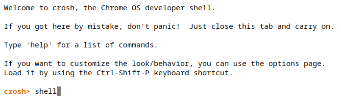 Entering the "shell" command
