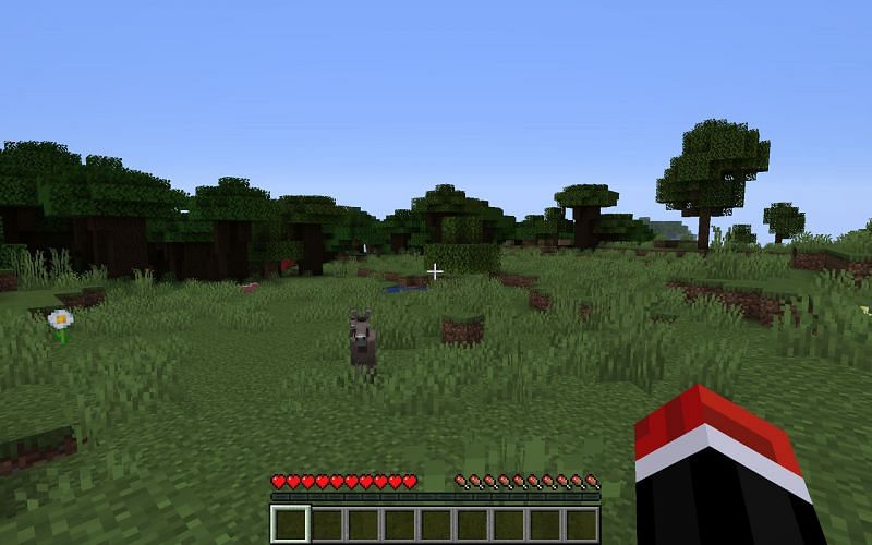 Braving the wilds of the Minecraft world