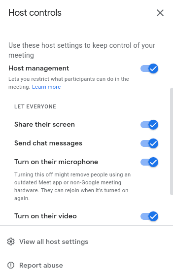 Host Controls in a Google Meet conference