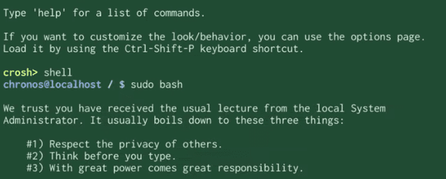 Entering the "sudo bash" command in "crosh"