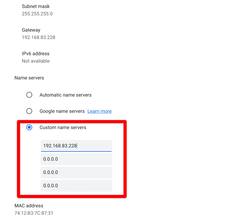 Entering custom DNS settings on Chrome OS