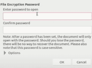 Setting a password for the saved file