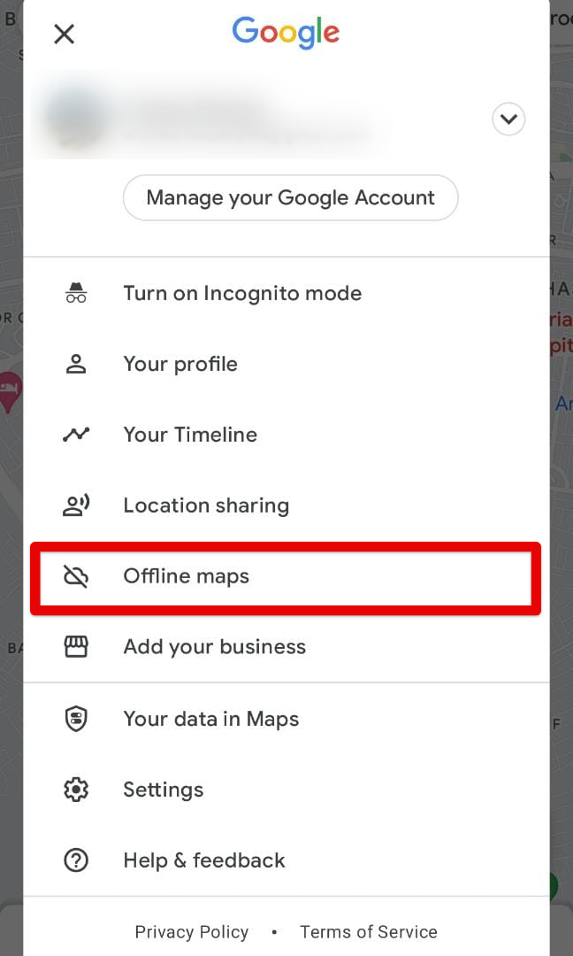 Tapping on "Offline maps"