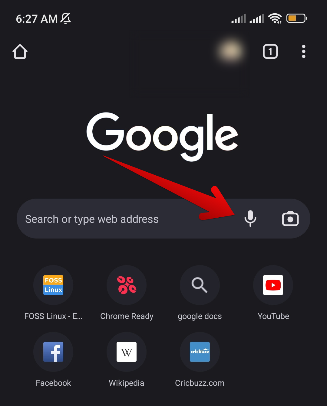 Voice search icon on mobile