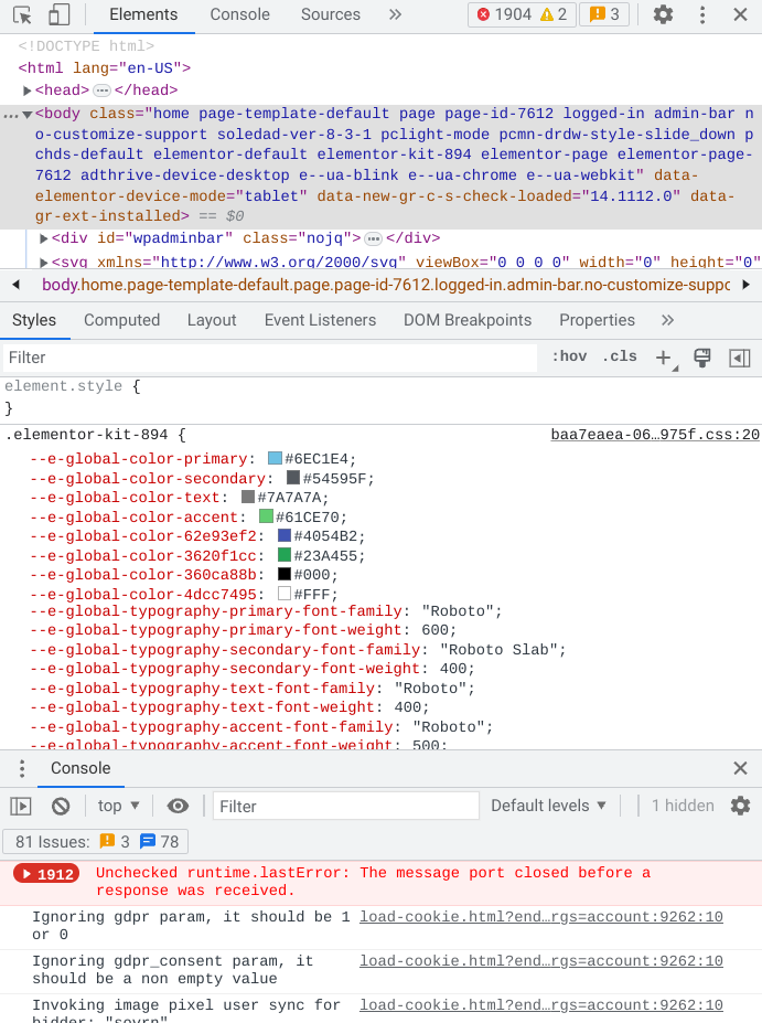 What the Chrome DevTools section looks like on Chrome