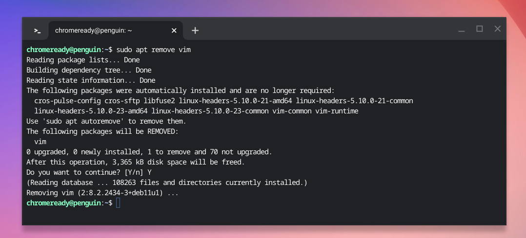 uninstalling app from linux terminal in chromeos